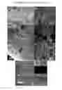 Fig. 07 - Nucleic Acid-Based Matrixes