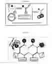 Fig. 15 - Nucleic Acid-Based Matrixes
