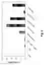 Fig. 09 - COMPOSITIONS AND METHODS FOR DELIVERY OF PROTEINS AND ADJUVANTS ENCAPSULATED IN MICROSPHERES