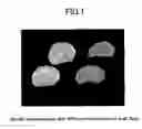 Fig. 02 - Foods containing large amount of functional components and method of producing the same