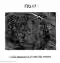 Fig. 17 - Foods containing large amount of functional components and method of producing the same