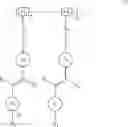 Fig. 07 - Photoalignment of liquid crystals using poly(vinylstilbazolium) polymers