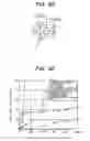 Fig. 36 - Electronic circuit device and manufacturing method thereof