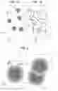 Fig. 02 - Ink for screen printing, method for producing same, and method for manufacturing edge and damper of speaker using same