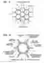 Fig. 03 - Hexagonal cell honeycomb structure body