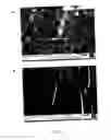 Fig. 08 - Mesoporous membranes with complex functional architectures and methods for making