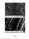 Fig. 11 - Mesoporous membranes with complex functional architectures and methods for making
