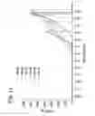 Fig. 22 - Wipes including microencapsulated delivery vehicles and processes of producing the same