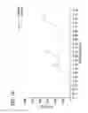 Fig. 11 - Wipes including microencapsulated delivery vehicles and phase change materials