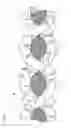 Fig. 02 - Multi-functional yarns and fabrics having anti-microbial, anti-static and anti-odor characterisitics