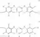 Fig. 02 - Encapsulated chromonic particles