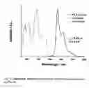 Fig. 02 - Organic light-emitting devices