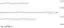 Fig. 06 - Polymer electrolyte and use thereof
