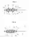 Fig. 09 - Gasket
