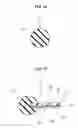 Fig. 12 - Gasket for electrolyte membrane