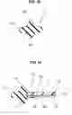 Fig. 14 - Gasket for electrolyte membrane
