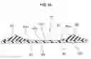 Fig. 25 - Gasket for electrolyte membrane