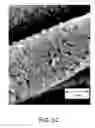 Fig. 05 - CATALYST ELECTRODE, PRODUCTION PROCESS THEREOF, AND POLYMER ELECTROLYTE FUEL CELL