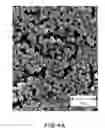 Fig. 08 - CATALYST ELECTRODE, PRODUCTION PROCESS THEREOF, AND POLYMER ELECTROLYTE FUEL CELL