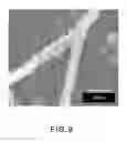 Fig. 13 - CATALYST ELECTRODE, PRODUCTION PROCESS THEREOF, AND POLYMER ELECTROLYTE FUEL CELL