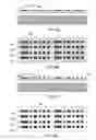 Fig. 07 - Multiple step printing methods for microbarcodes