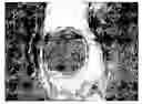 Fig. 01 - Methods of identifying orthodontic adhesives