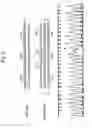 Fig. 03 - Method for detecting gene specifying allergic predisposition