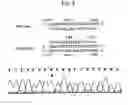 Fig. 04 - Method for detecting gene specifying allergic predisposition