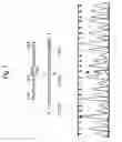 Fig. 08 - Method for detecting gene specifying allergic predisposition