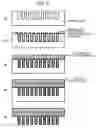Fig. 03 - Fine metal structure, process for producing the same, fine metal mold and device