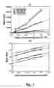 Fig. 02 - High-throughput assay of hematopoietic stem and progenitor cell proliferation