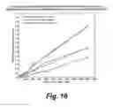 Fig. 22 - High-throughput assay of hematopoietic stem and progenitor cell proliferation