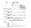 Fig. 04 - OPTICAL FINGERPRINTING OF NUCLEIC ACID SEQUENCES