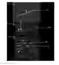 Fig. 07 - OPTICAL FINGERPRINTING OF NUCLEIC ACID SEQUENCES