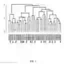 Fig. 02 - Methods for detecting gene expression in peripheral blood cells and uses thereof