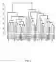 Fig. 03 - Methods for detecting gene expression in peripheral blood cells and uses thereof