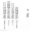 Fig. 03 - Protein fragment complementation assays for the detection of biological or drug interactions
