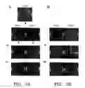 Fig. 04 - Protein fragment complementation assays for the detection of biological or drug interactions