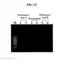 Fig. 34 - Annealing control primer and its uses