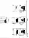 Fig. 11 - PROTEIN PRESENT AT THE SURFACE OF HEMATOPOIETIC STEM CELLS OF THE LYMPHOID LINE AND OF NK CELLS, AND USES THEREOF