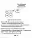 Fig. 03 - Analysis of gene expression profiles using sequential hybridization