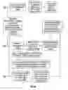 Fig. 06 - Analysis of gene expression profiles using sequential hybridization