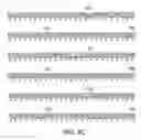 Fig. 05 - KCNQ2 potassium channels