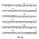 Fig. 06 - KCNQ2 potassium channels