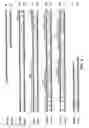 Fig. 10 - KCNQ2 potassium channels
