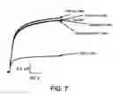 Fig. 13 - KCNQ2 potassium channels