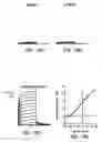 Fig. 34 - KCNQ2 potassium channels