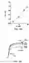 Fig. 35 - KCNQ2 potassium channels