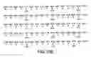 Fig. 43 - KCNQ2 potassium channels