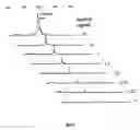 Fig. 06 - Metalloprotease assay